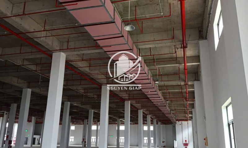 Doanh nghiệp FDI công nghệ cao cần gì khi “ đặt tổ” tại Việt Nam?